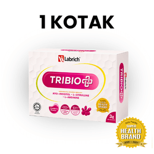 Set 1 kotak