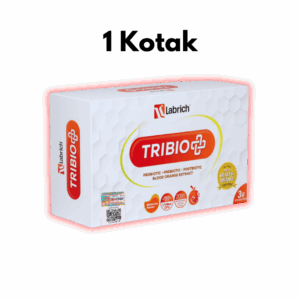 7 copy-min (1) Set 1 Box1